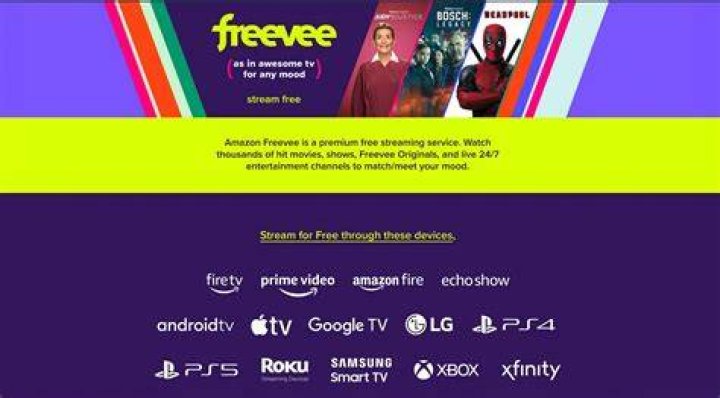 Movie streaming platform interface