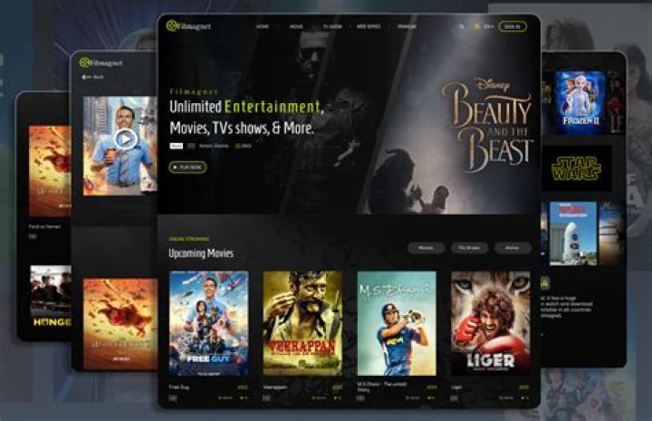 Streaming platform interface