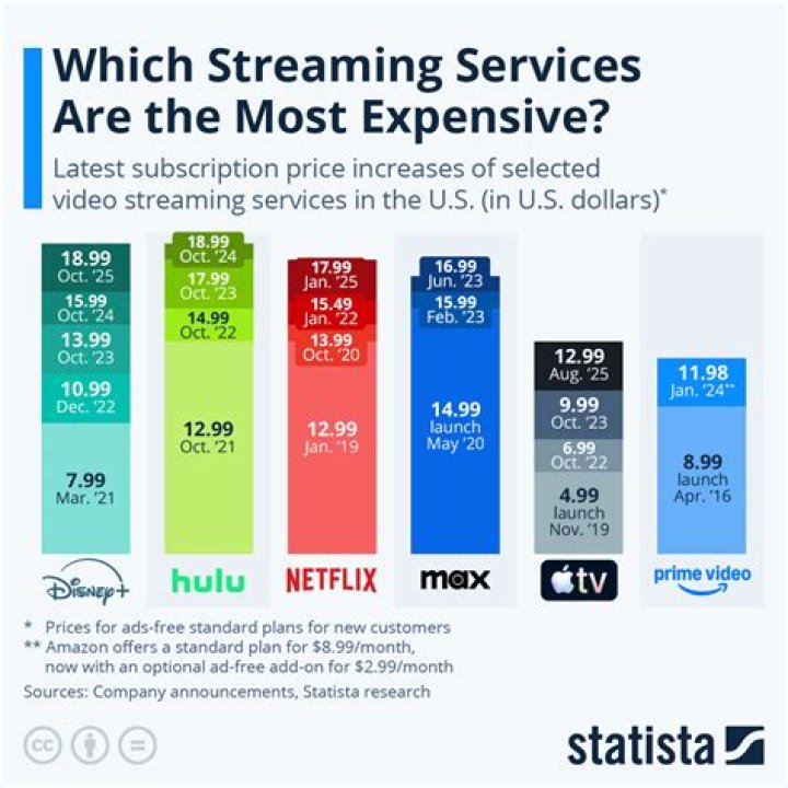 Streaming service subscription costs