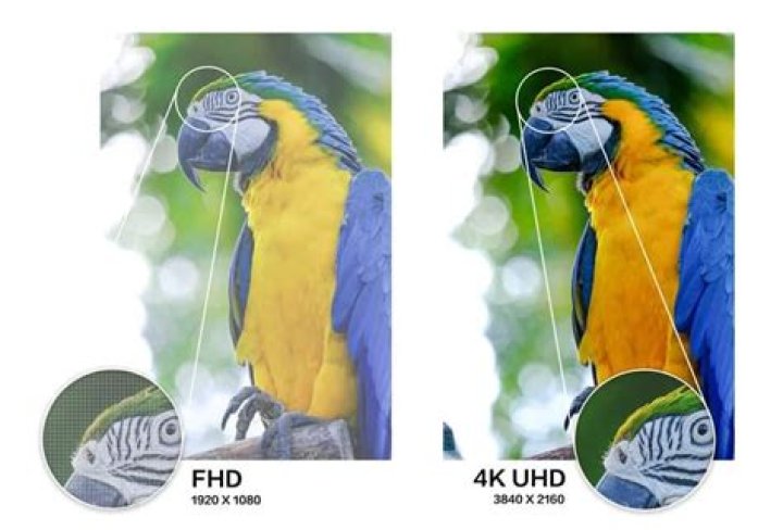 Video streaming quality levels